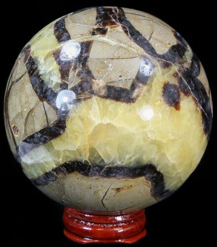 Polished Septarian Sphere - With Stand #43852